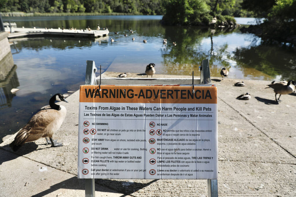 A sign on the boat ramp at Lake Ralphine warns of toxic algae and its potential health impacts for human and pets. Photo at Howarth Park in Santa Rosa, Calif., on Monday, May 16, 2022.(Beth Schlanker/The Press Democrat)
