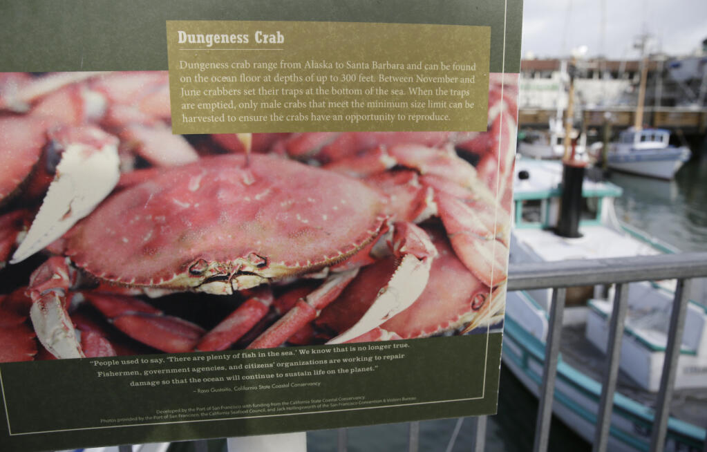 FILE - A sign describes Dungeness crab to visitors above boats at Fisherman's Wharf in San Francisco on Dec. 22, 2015. The start of the commercial Dungeness crab season in California has been delayed further to protect humpback whales from becoming entangled in trap and buoy lines. The California Department of Fish and Wildlife said Wednesday, Dec. 7, 2022, that commercial crabbing will be delayed until at least Dec. 30. (AP Photo/Eric Risberg, File)