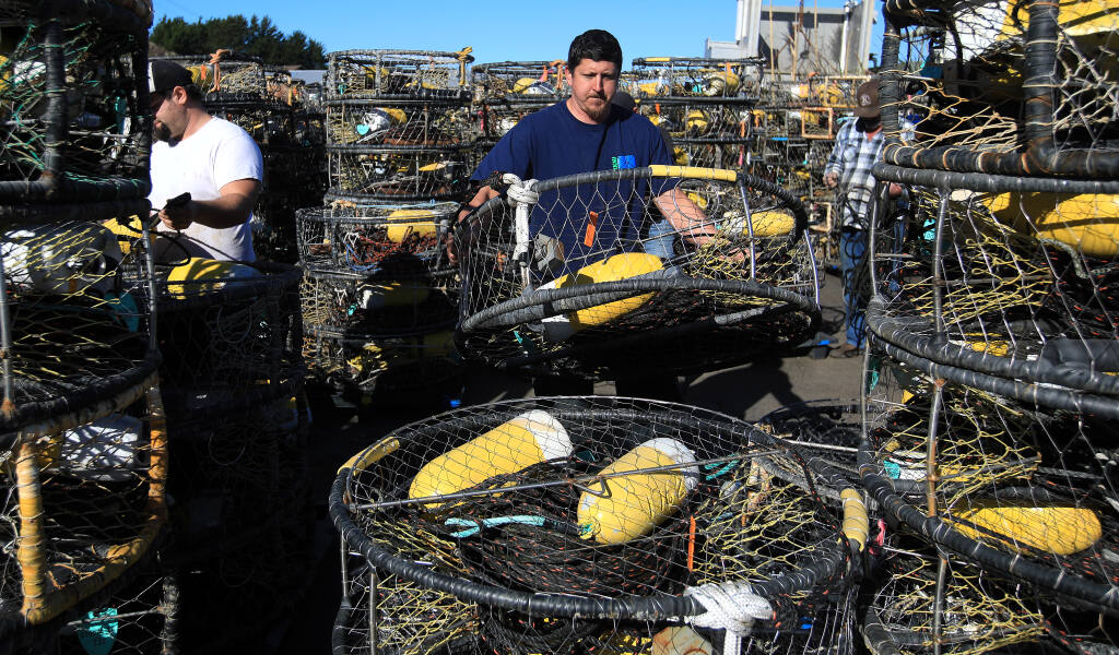 Matt Anello stacks crab pots in preparation for Dungeness crab season in Bodega Bay on Tuesday, Jan. 5, 2021. (Kent Porter / The Press Democrat)