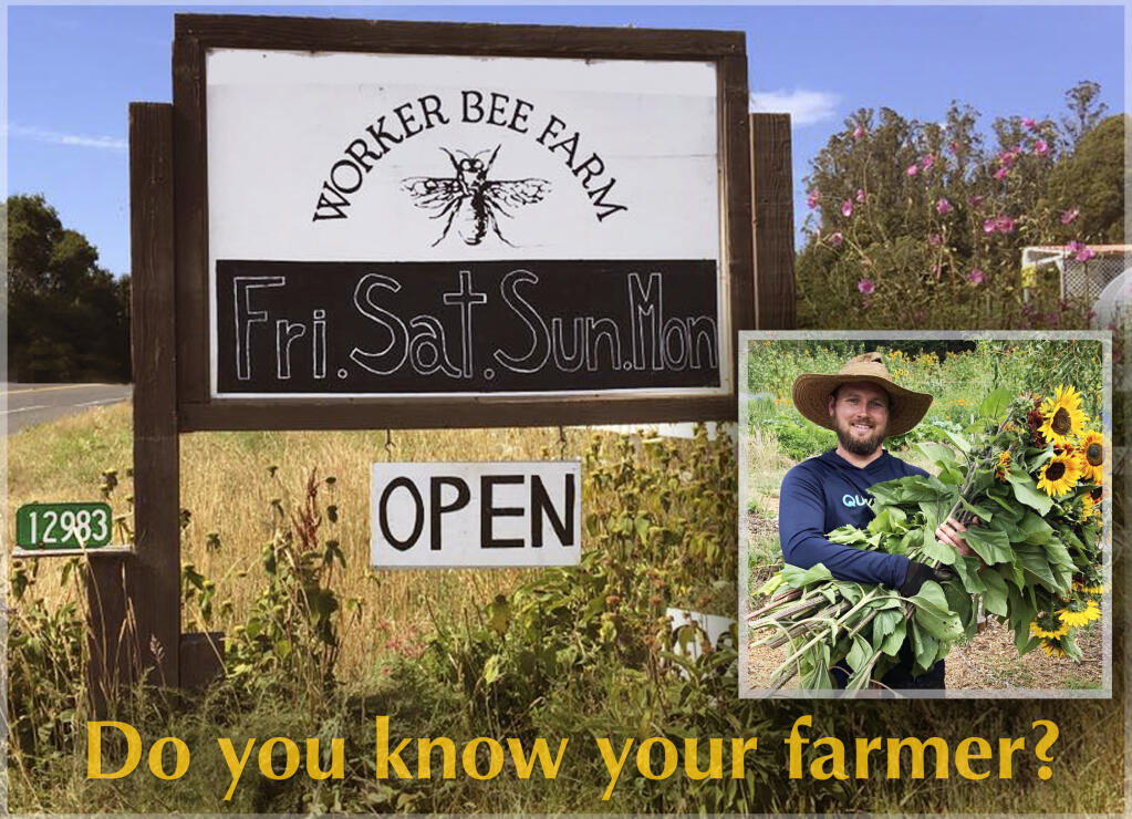 Workers Bee Farm has a wide variety of vegetables, herbs, fruits and extras like eggs and  flowers - all fresh and embodies a biodiverse and organic methodology. Safety measures are in place.