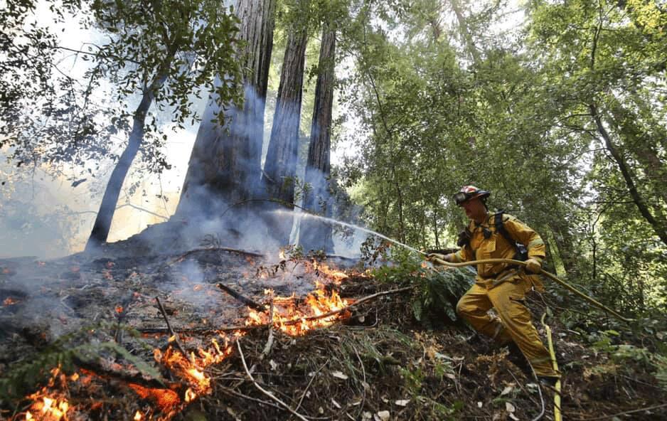 Walbridge  Fire, 2019. (Stewards of the Coast and Redwoods photo)