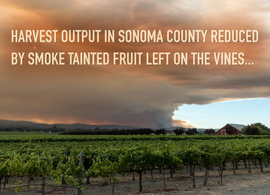 Smoke emanating from the Walbridge Fire behind one of many vineyards in Sonoma county .(Gibson Outdoor Photo-Shutterstock)