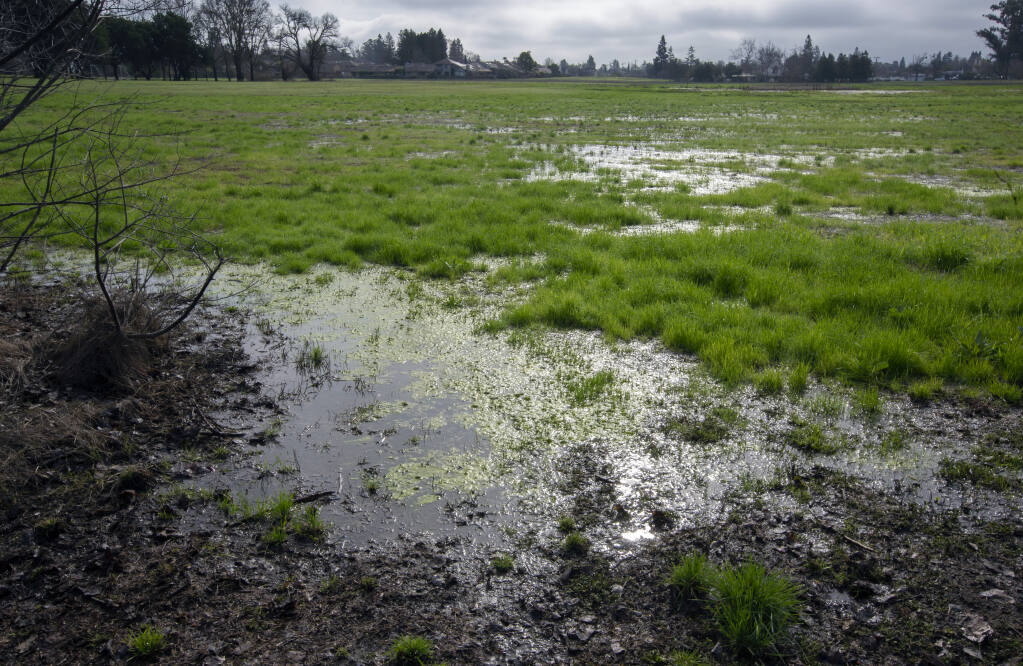Standing water at the Vallejo Home fields, which is percolating into the ground and replenishing the aquifer, on Wednesday, Jan. 18, 2023. (Robbi Pengelly/Index-Tribune)