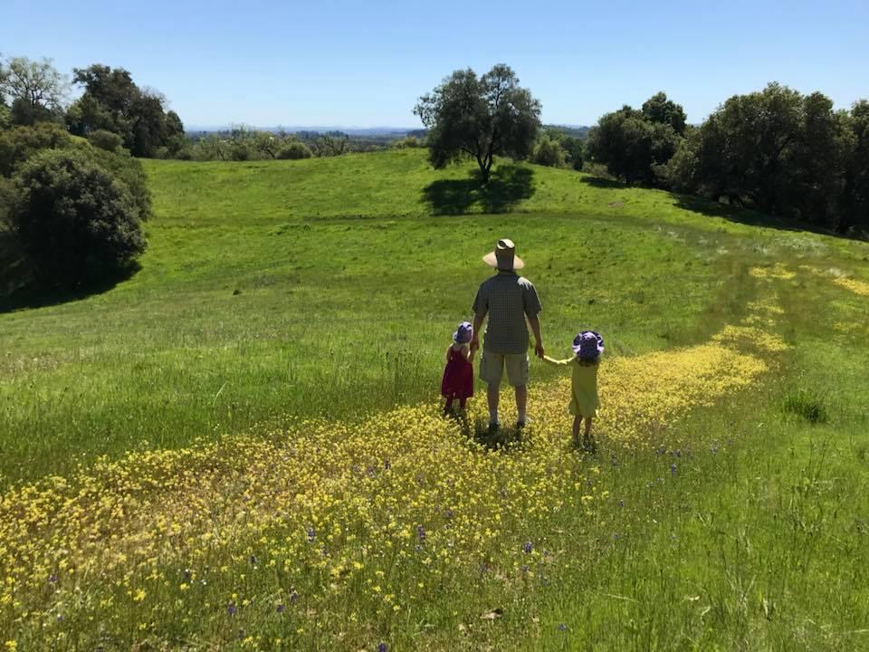 Emmett Hopkins, husband to Fifth District Supervisor Lynda Hopkins, walks through a field of Sonoma County mustard. Lynda Hopkins photo.