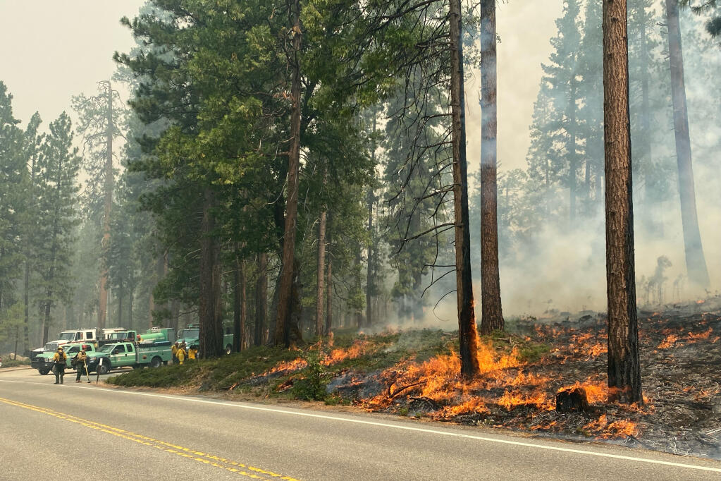 In this photo provided by the National Park Service, the Washburn Fire burns next to a roadway north of the Wawona Hotel in Yosemite National Park, Calif., Monday, July 11, 2022. A heat wave was developing in California on Monday but winds were light as firefighters battled a wildfire that poses a threat to a grove of giant sequoias and a small community in Yosemite National Park. (National Park Service via AP)