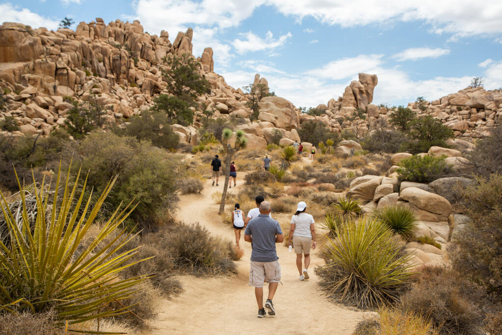 Hikers on Hidden Valley Trail in Joshua Tree National Park in California, on July 3, 2021. Americans are flocking to national parks in record numbers, in many cases leading to long lines and overcrowded facilities. Here’s what four parks looked like over the holiday weekend. (Beth Coller/The New York Times)