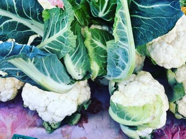 November is the time for brassicas at your local Sonoma County farmers markets. Kelly Smith photo.