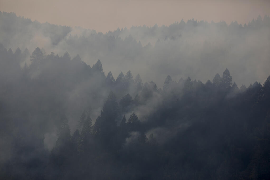 Smoke from the Walbridge rises from trees in and around Armstrong Redwoods State Natural Reserve in Guerneville, Calif., on Sunday, Aug. 23, 2020. (BETH SCHLANKER/ The Press Democrat)