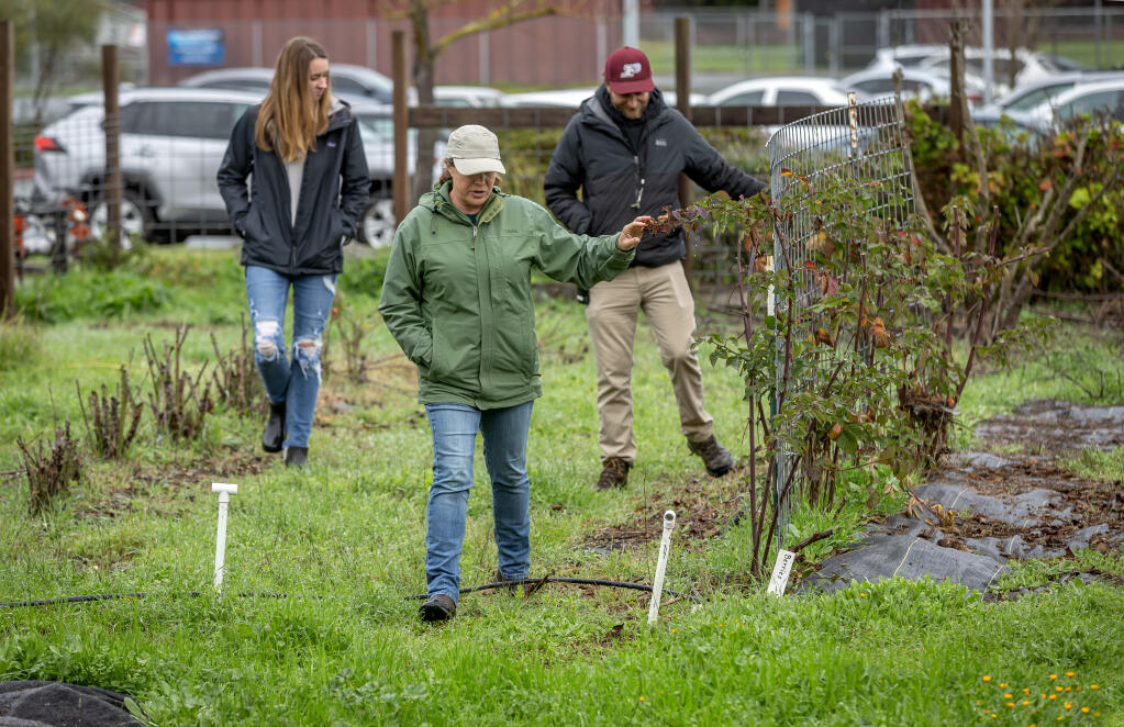 Courtney Delello, farm to school program coordinator, center, Piner High School vice principal John Kennedy, right, and Piner High School Counselor Sydney Miller and grant application coordinator, left, tour the Piner High School campus garden after being awarded a grant to refurbish and expand the garden program at the Santa Rosa school Tuesday Jan. 9, 2024. (Chad Surmick / The Press Democrat)
