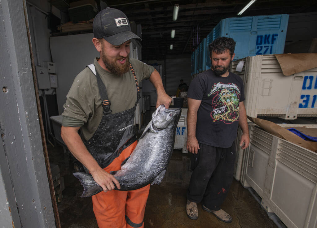 Jason Spurgeon of Dandy Fish Company carries a 32 pound chinook salmon caught by the crew of the Neahkahnie at Lucas Wharf in Bodega Bay, Wednesday, July 13, 2022. (Chad Surmick / The Press Democrat file)