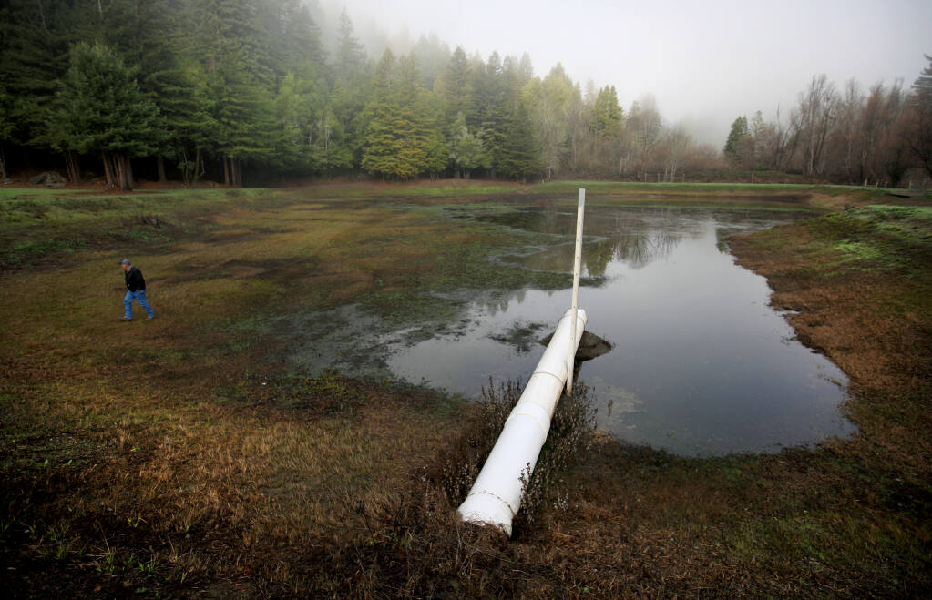Korbel's John Bidia inspects a nearly dry irrigation and frost protection pond at a Korbel vineyard in Guerneville, Thursday, Jan. 14, 2021.   (Kent Porter / The Press Democrat) 2021