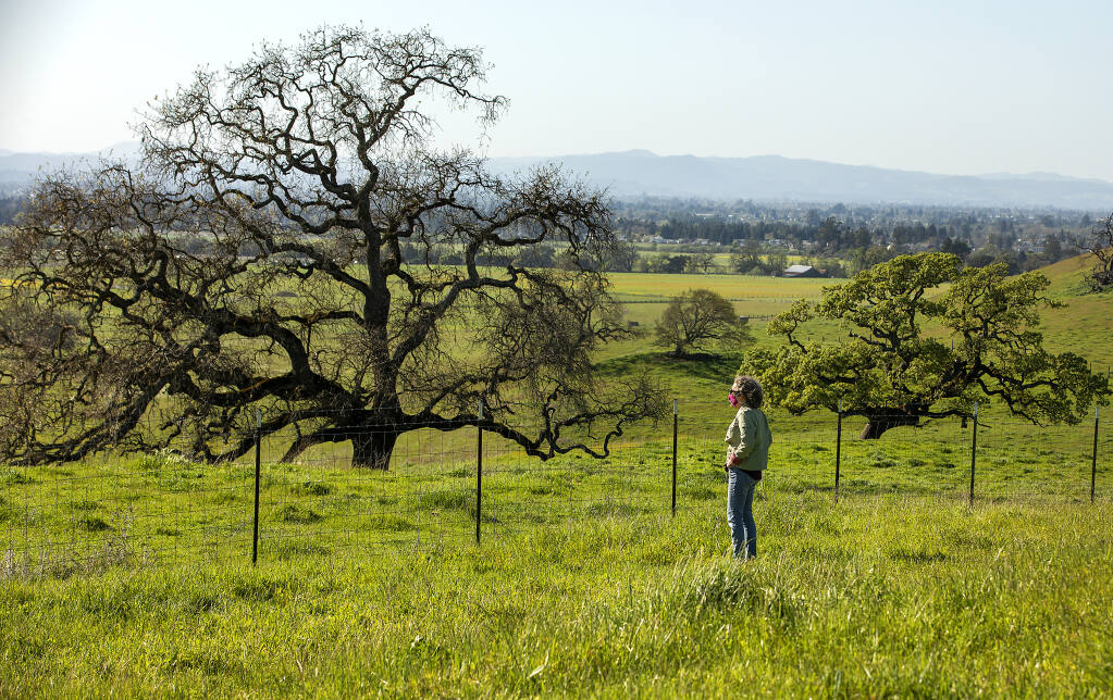 Mary Grace Pawson, the director of development services and city engineer for Rohnert Park, stands at the border fence of Crane Creek Regional Park overlooking the new 75-acre addition on the west side of the park on Wednesday, March 31, 2021.  The acquisition of the property was made possible by a $1.36 million grant from the Agricultural Preservation and Open Space District along with a $2.8M match from the city of Rohnert Park. (Photo by John Burgess / The Press Democrat)