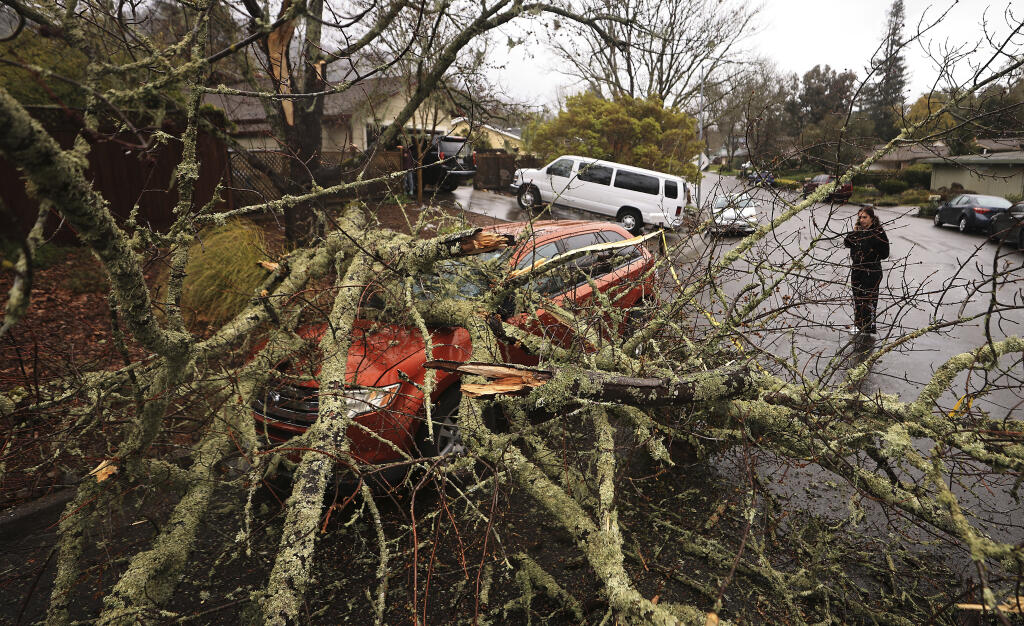 Amber Balog surveys the damage to a friend's vehicle, Tuesday, March 21, 2023, after a saturated and wind-blown limb fell on Monte Verde Drive in Santa Rosa, Calif. No one was injured. Another in the long line of winter and spring storms slammed California on Tuesday. (Kent Porter/The Press Democrat via AP)