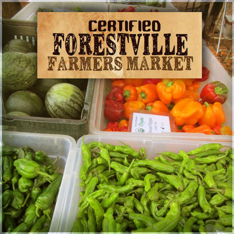 Stop on by to pick up your veggies, check out some crafts and there will even be food vendors. Image: forestvillechamber.org