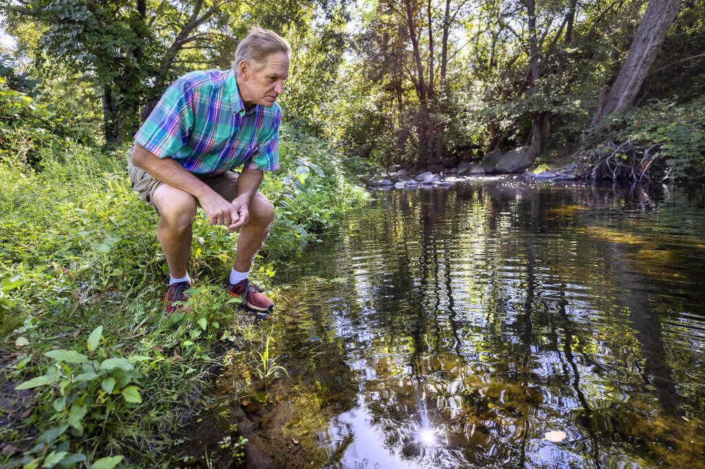 John Macaulay checks the water level in Mark West Creek behind his Larkfield-Wikiup house Tuesday, Sept. 20, 2022. Macaulay noticed the creek level rise six inches after the earthquake last week. (John Burgess/The Press Democrat)