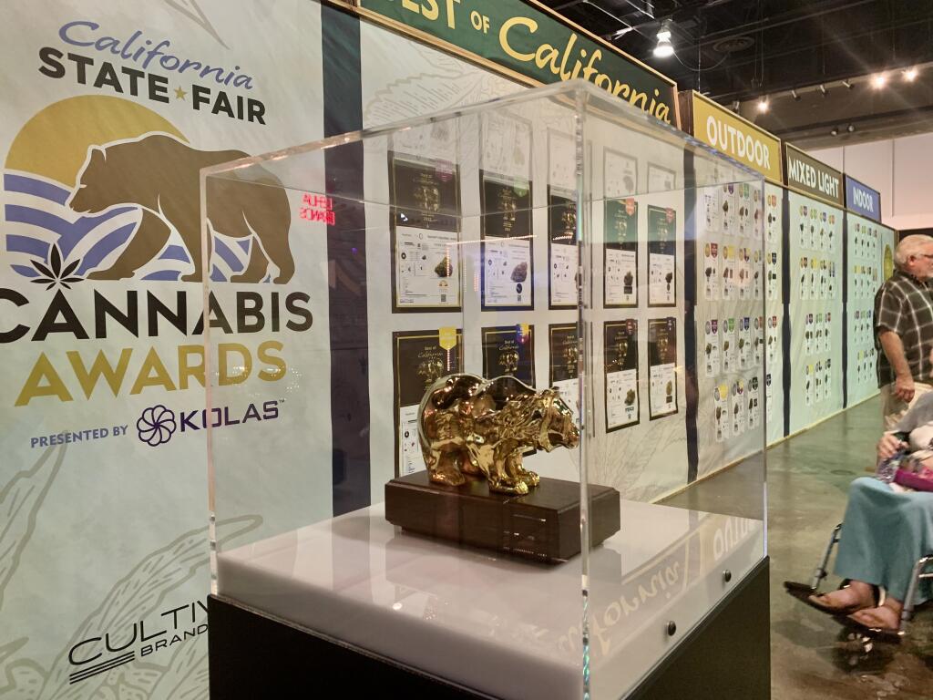 The Golden Bear award from the second California State Fair cannabis competition is displayed in June 2023. Cotati-based Mercy Grown nabbed the 2023 Golden Bear award. (Courtesy of California State Fair)