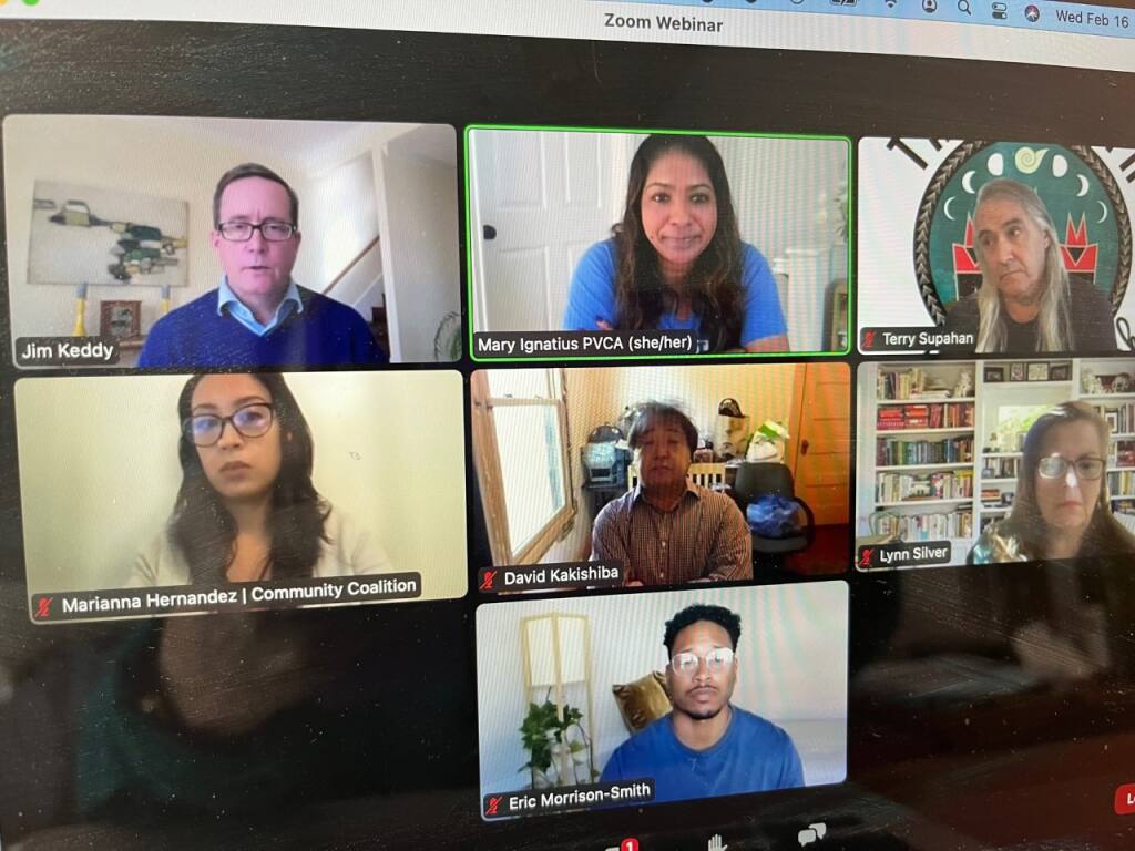 Youth Forward hosted a virtual conference panel of childcare and healthcare advocates asking the state to maintain cannabis taxes. Photo by Susan Wood