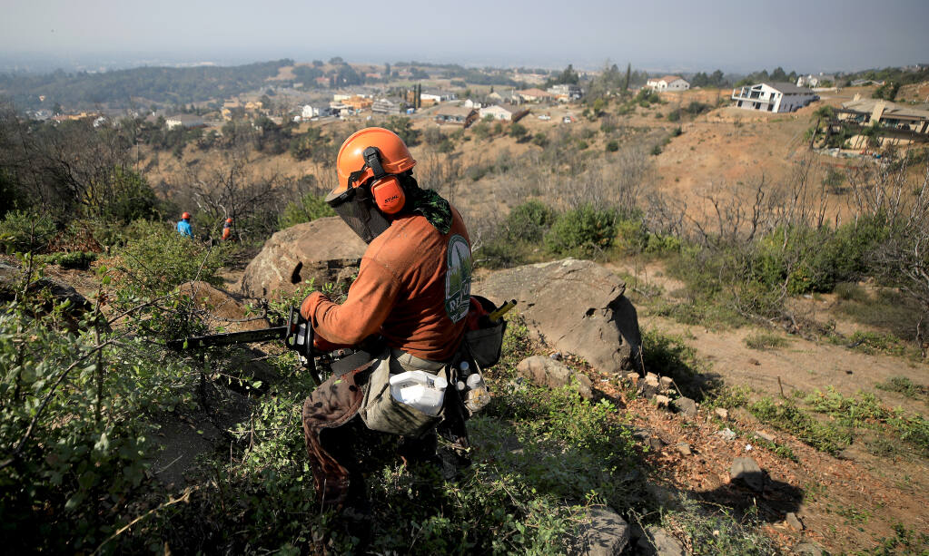 Omar Rivas cuts back brush that has grown back in a high fire severity zone in Fountaingrove, near Rincon Ridge West, Monday, Sept. 21, 2020, in Santa Rosa.  Fountaingrove was heavily impacted by the 2017 Tubbs fire. (Kent Porter / The Press Democrat) 2020
