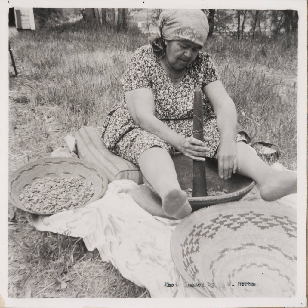 Elsie Allen pounds acorns into flour in Ukiah in 1964. Whwn Allen contracted the flu during the 1918 flu epidemic, acorn mush cooked by her mother nourished her back to health, according to her 1972 book “Pomo Basketmaking: A Supreme Art for the Weaver.” (Sonoma County Library)
