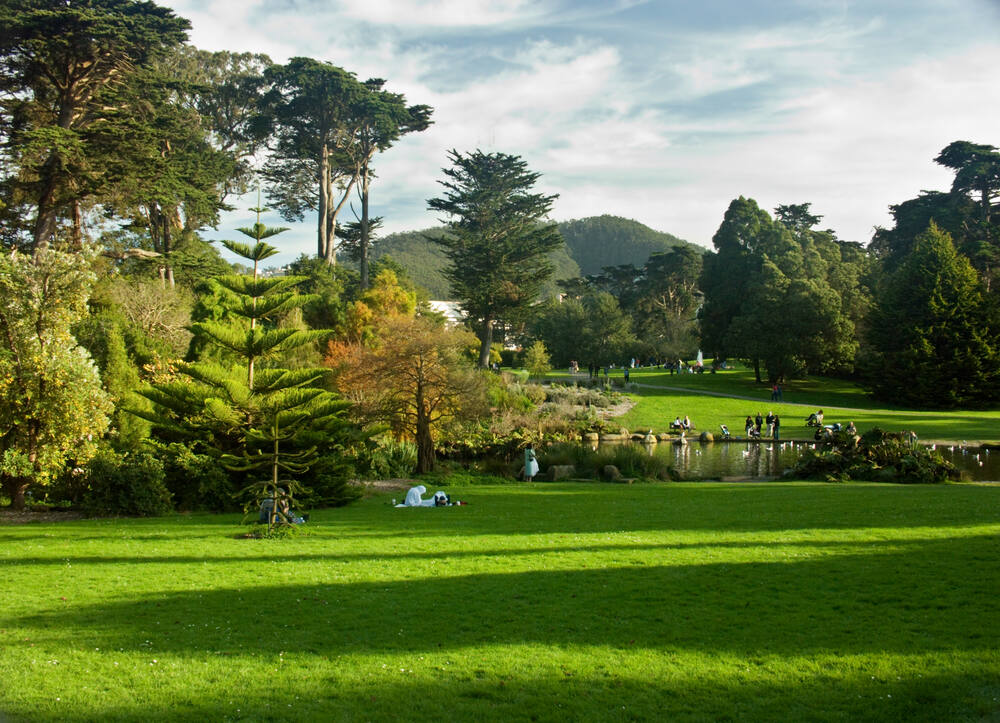 Golden Gate Park in San Francisco. (Kropotov Andrey/Shutterstock)