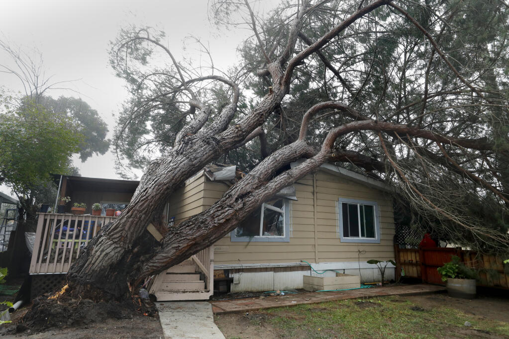 A tree caused significant damage last night after it toppled onto a mobile home on Magnolia Avenue in Santa Rosa, Calif., Photo taken on Wednesday, Dec. 28, 2022. (Beth Schlanker/The Press Democrat)