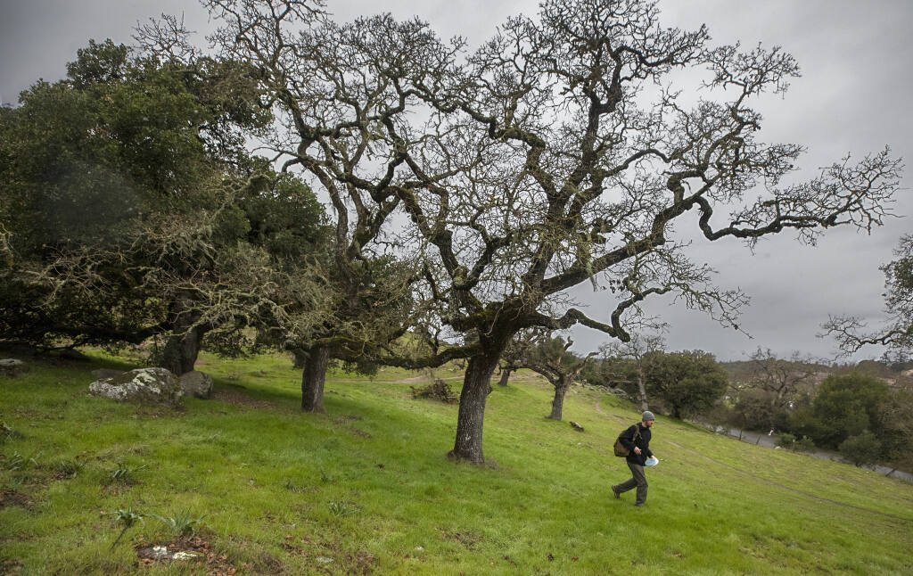 Joshua James gets in one last hole before the rain begins on the disc golf course at Taylor Mountain Regional Park & Open Space Preserve on Tuesday, Jan. 26, 2021. (John Burgess / The Press Democrat)