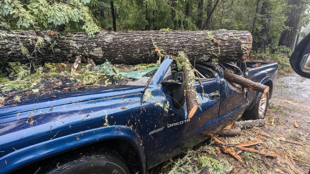 A tree on top of a pickup truck following hard rains and winds on Hauser Bridge Road at Kruse Ranch Road in Cazadero, Thursday, Jan. 5, 2023. (Jake Bayless)