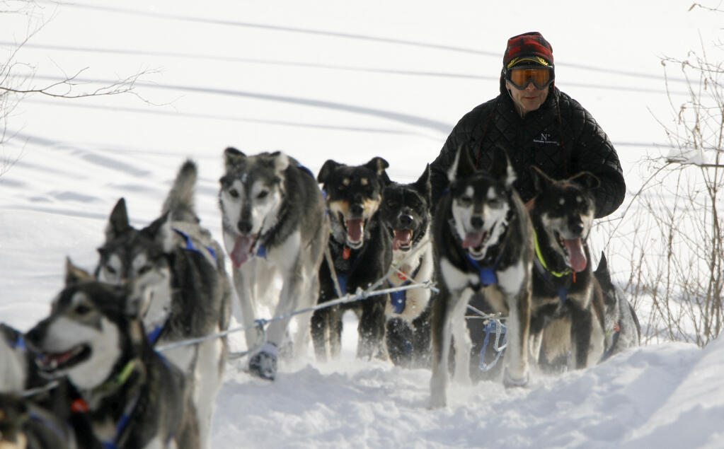 Martin Buser drives his team into the Takotna, Alaska, checkpoint during the 2009 Iditarod Trail Sled Dog Race. Only 33 mushers will participate in this year’s race, the smallest field ever. (Al Grillo / ASSOCIATED PRESS)