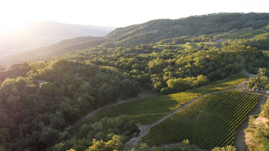 Aerial view of Bonterra Organic Estates' Butler Ranch vineyard in 2019. (Erin Malone photo)