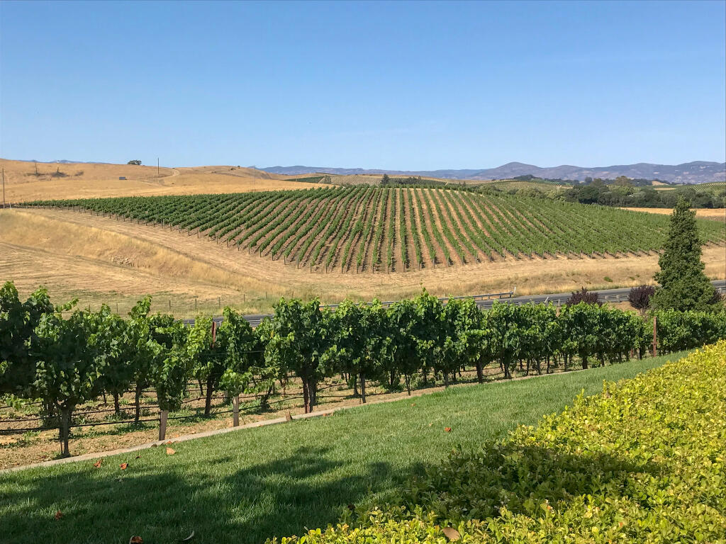 A view of Los Carneros winegrowing region straddling southern Sonoma and Napa counties. This vineyard view is near the Domaine Carneros winery at 1240 Duhig Road on the Napa Valley side of the appellation.