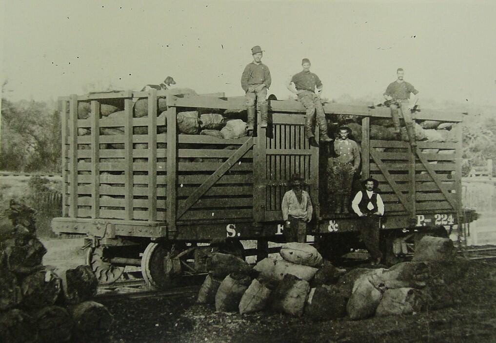 Charcoal workers pause on a railroad car in Forestville, 1898. Laborers heaped dead peach trees into huge piles and lit them on fire. After many days of careful tending, the trees burned down to charcoal, which was bagged and shipped out by train. (Museum of Sonoma County)