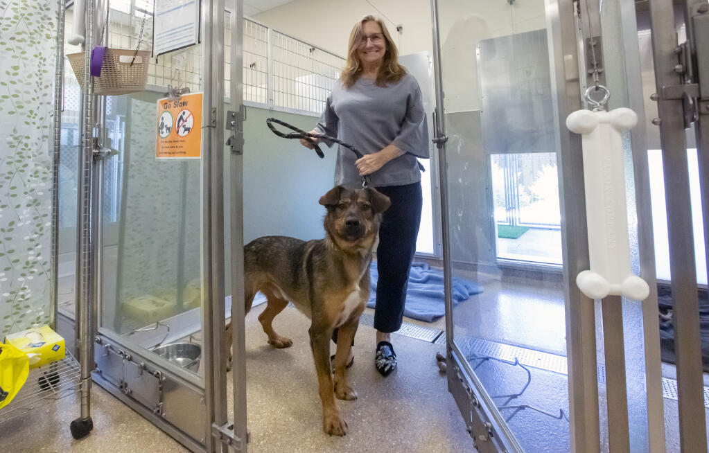 Pets Lifeline Executive Director Nancy King with Roscoe, who was transferred to them from a county shelter, at the Pets Lifeline facility on Eighth Street East on Wednesday, July 13, 2022. (Robbi Pengelly/Index-Tribune)