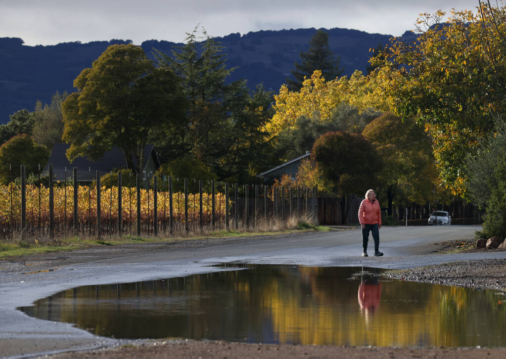 Linda Larimore walks along Lovall Valley Rd during a break in the rain in Sonoma, Calif. on Tuesday, November 8, 2022. (Beth Schlanker/The Press Democrat)