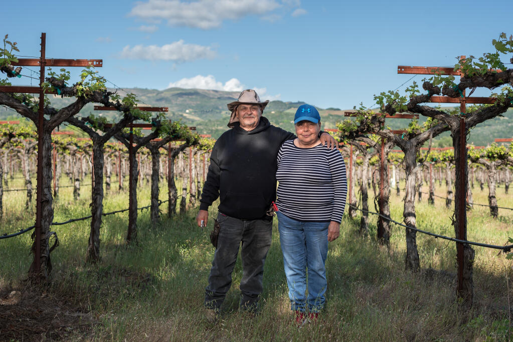 Ruomaldo Argota y Marta Maria Farias hallaron trabajo en viñedos en el condado de Sonoma cuando se mudaron aquí hace 12 años. Una hija y un yerno también trabajan en los viñedos.  Foto tomada el 16 de abril de 2022. (María Luz Rodríguez/ Para The Press Democrat).