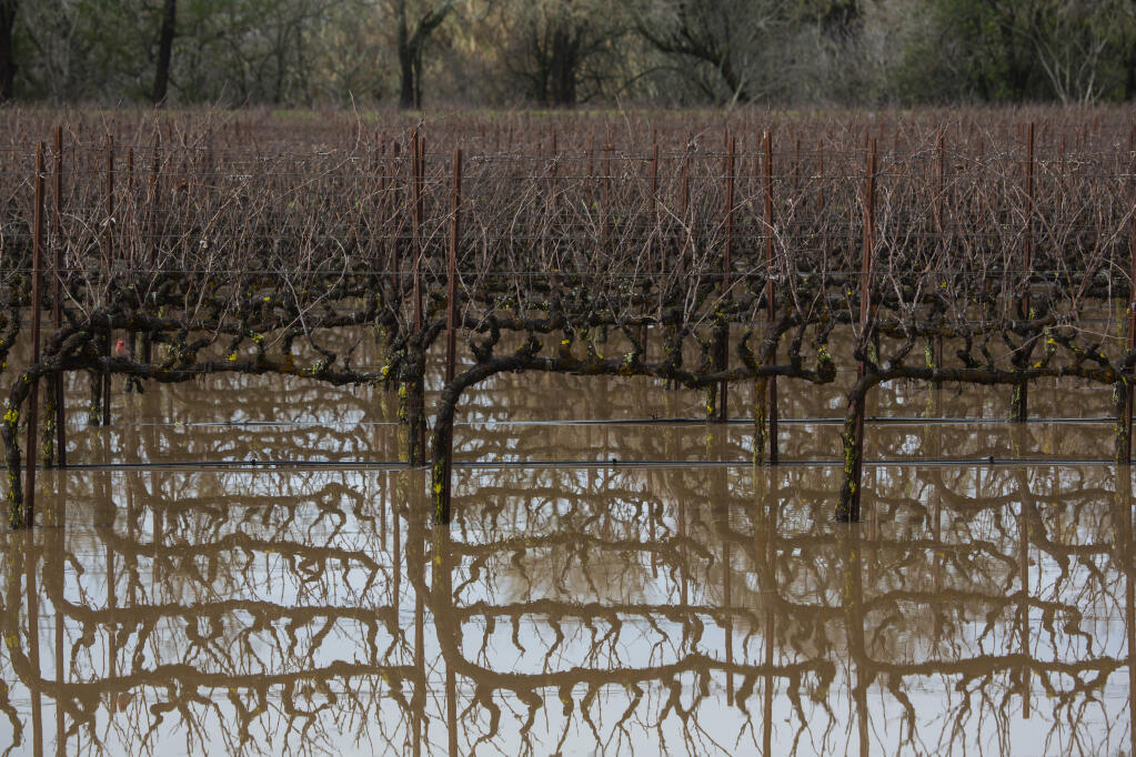 A flooded vineyard on Broadway. Heavy overnight rain brought flooding to some areas of Sonoma on Monday morning, Jan. 9, 2023. (Robbi Pengelly/Index-Tribune file)